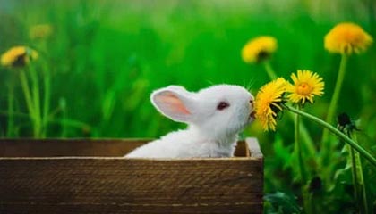 九游娱乐-电竞赛事奖金大揭秘：金钱背后的竞争与压力，电竞比赛总奖金