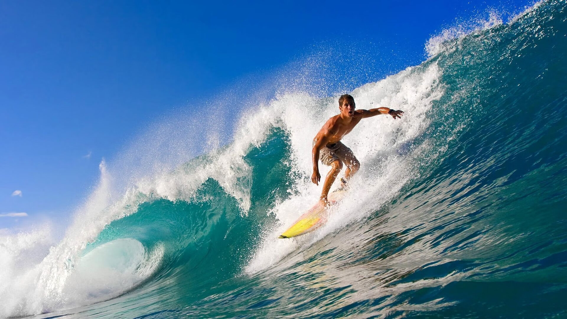 _热爱无悔：运动员面对伤痛的坚持与拼搏_，热爱运动员认亲是哪一集