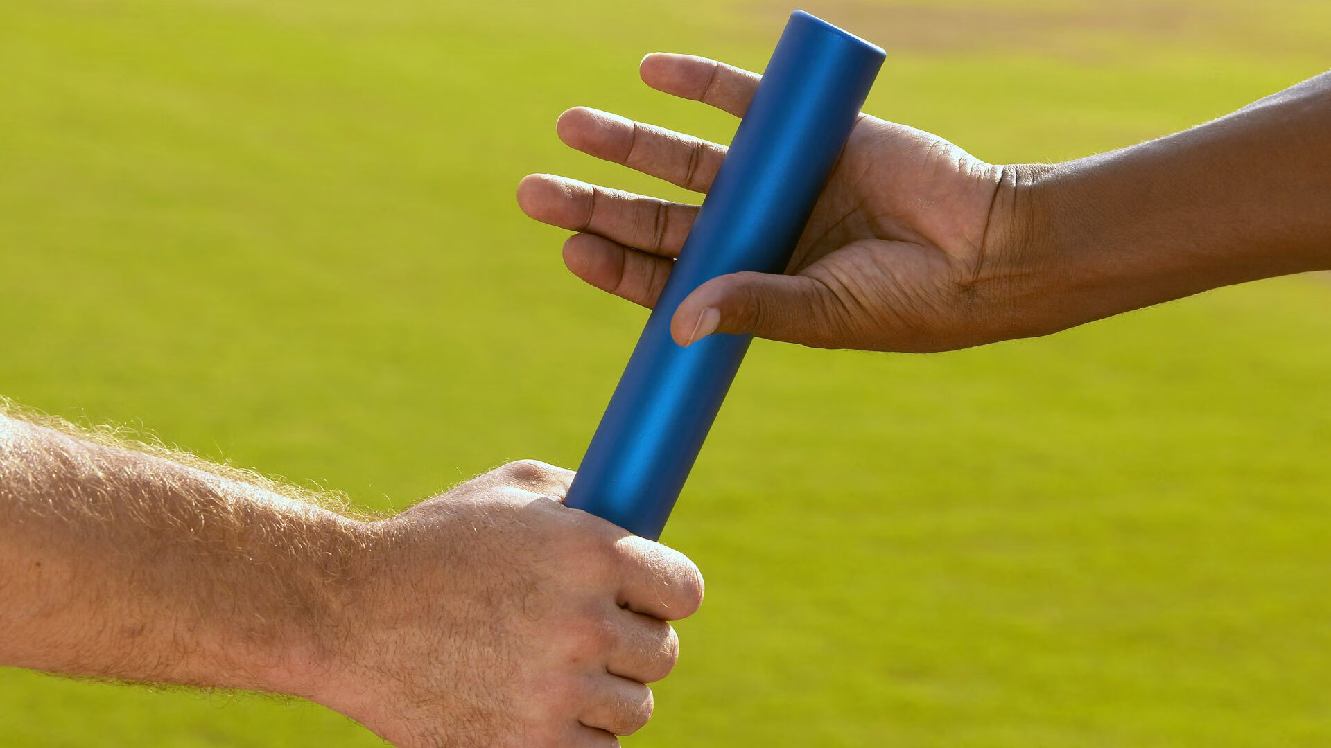 布莱顿在英超联赛中排名第五，获得欧联杯资格，英超布莱顿队徽