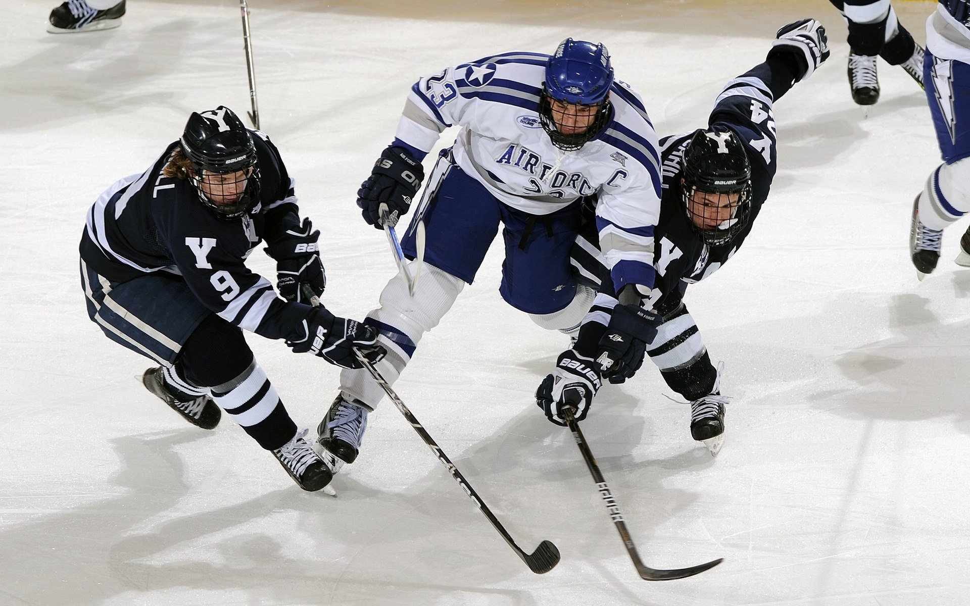 世界田联认证赛事杭州站赛道获国际好评，2021世界田联标牌赛事